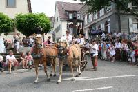 IMG_6150 (2) 